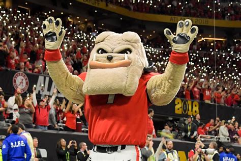 Mascots as Role Models: The Influence of Georgia Sports Characters on Young Fans
